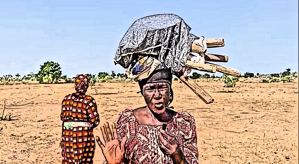 From Seed to Table: Women Farmers in Borno Need More Than Just Courage 