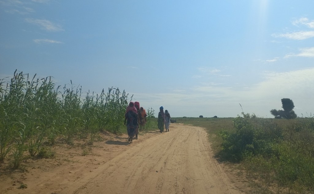 Boko Haram Beheads 7 Farmers, Undermines Food Security Efforts in Borno State 