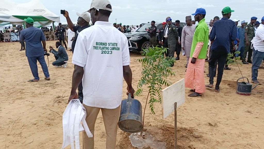 Borno Launches Initiative to Plant 1.2 Million Trees in Fight Against&nbsp;Desertification