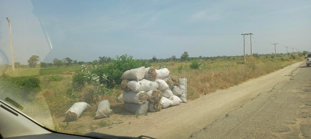 Borno Governor Targets Cultivation of 200 Hectares of Land As Support For Irrigation&nbsp;Farmers