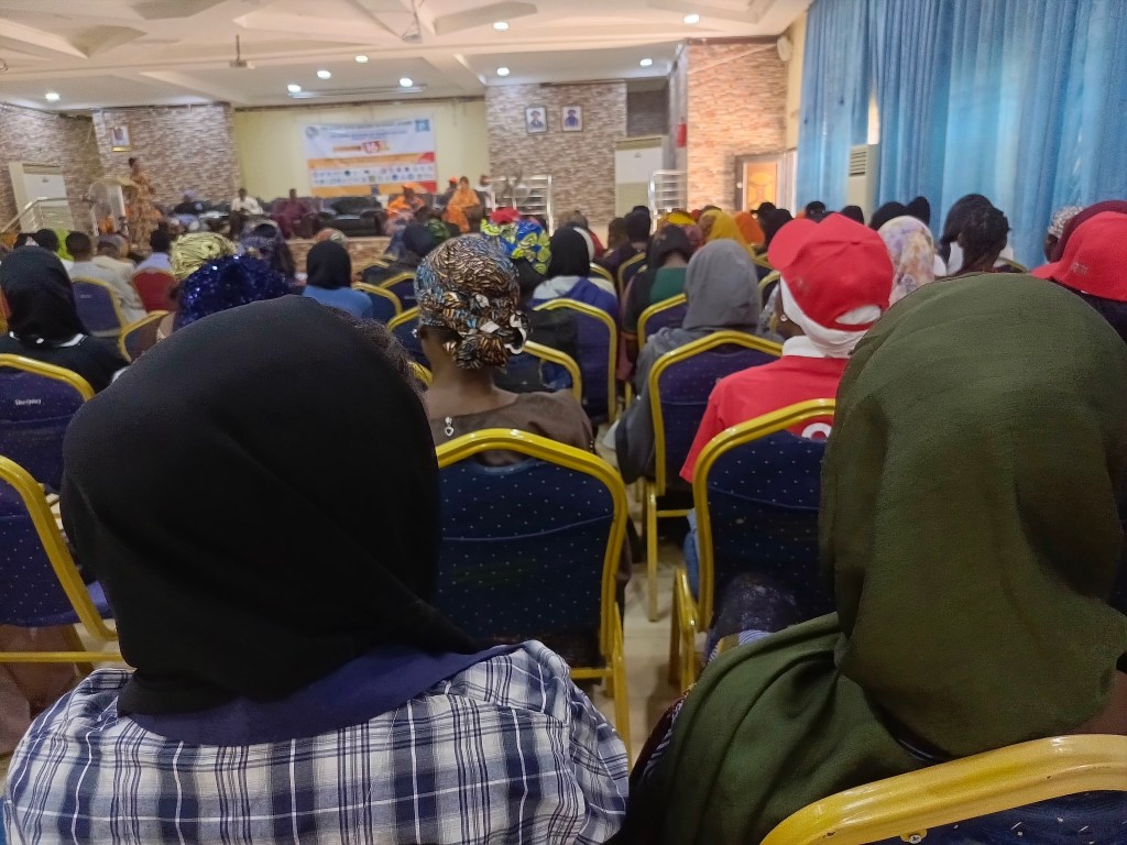 #16DaysOfActivism: Borno NAWOJ Coordinator  Advocates Victim Protection, Perpetrator&nbsp;Exposure