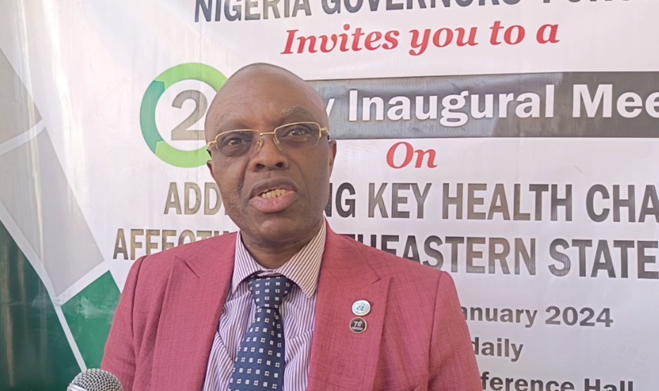 Allocating 80% of State Health Budgets to Primary Healthcare Will Help To Reduce Nigeria’s Maternal, Neonatal Deaths –&nbsp;WHO