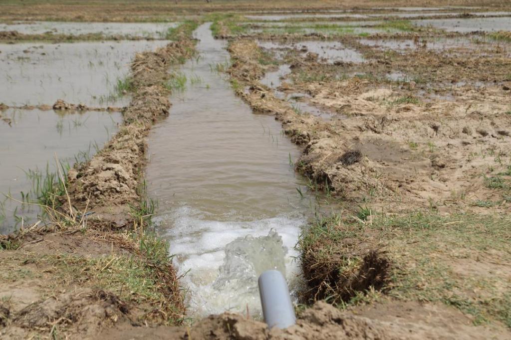 Governor Zulum’s Green Agenda: Solar Irrigation Pump Station to Make Borno a Food Production&nbsp;Powerhouse