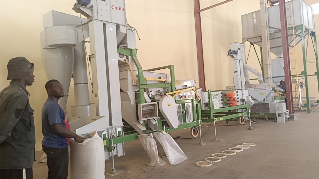 Yobe State Bets Big on Sesame Production – Sets Up 4 Mega Factories to Boost&nbsp;Export