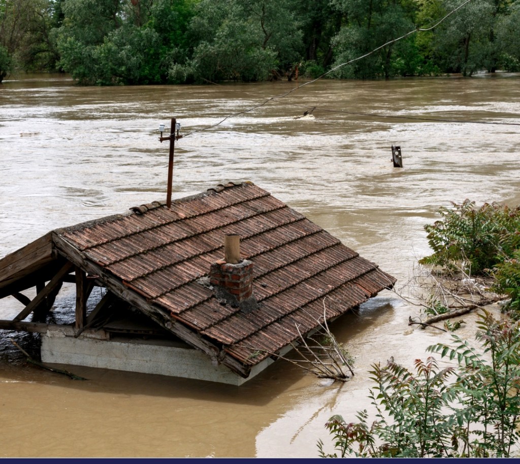 MILESTONE: How CATAI Stepped Up Amid Conflict, Flood Crisis to  Empower Vulnerable Communities&nbsp;(2)