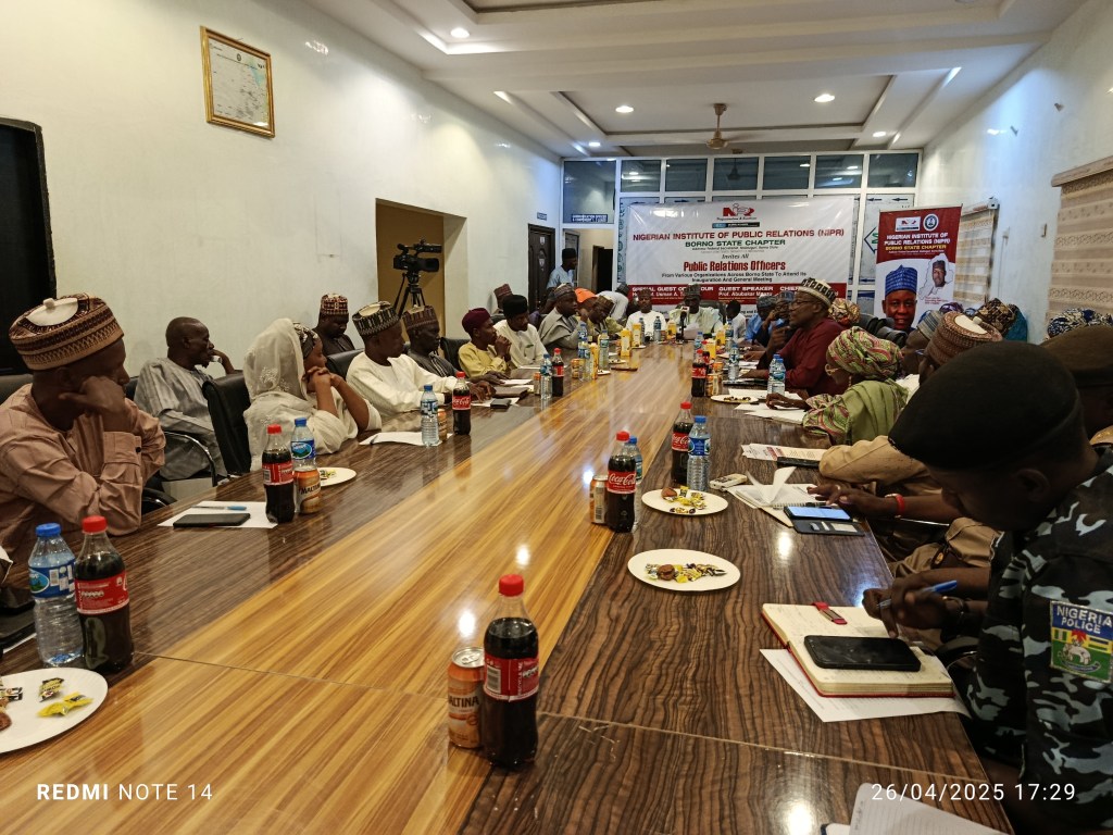 Identify Your Edge, Go Online: NIPR Secretary Tells Borno Professionals 