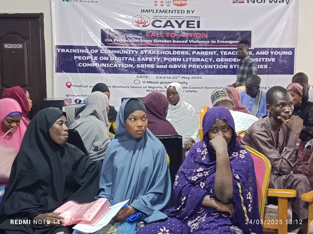 NGO Trains  Borno Grassroots Stakeholders On Tackling GBV, Online&nbsp;Exploitation