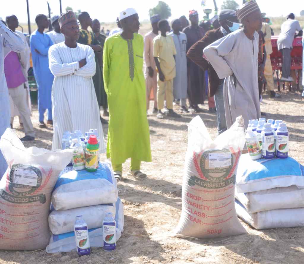 FG Expands National Wheat Production Program, Targets Resilience in&nbsp;Borno